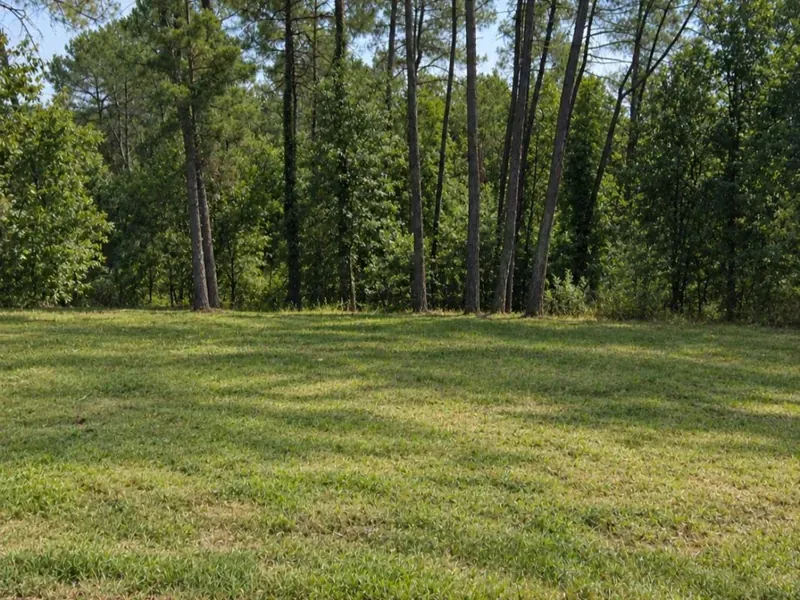 Terrain à bâtir en bordure de forêt