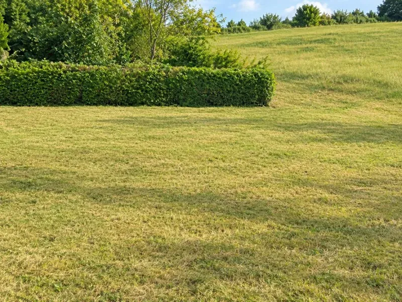 Terrain à bâtir en pente douce bordé de haies