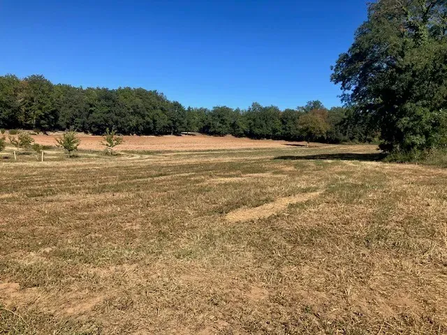 Terrain à bâtir plat en lisière de bois
